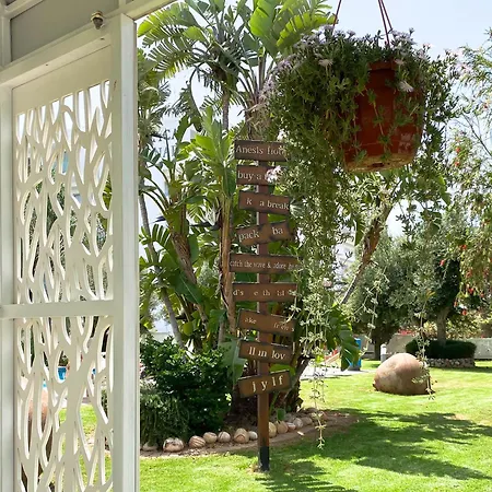 Anesis Hotel Ajia Napa