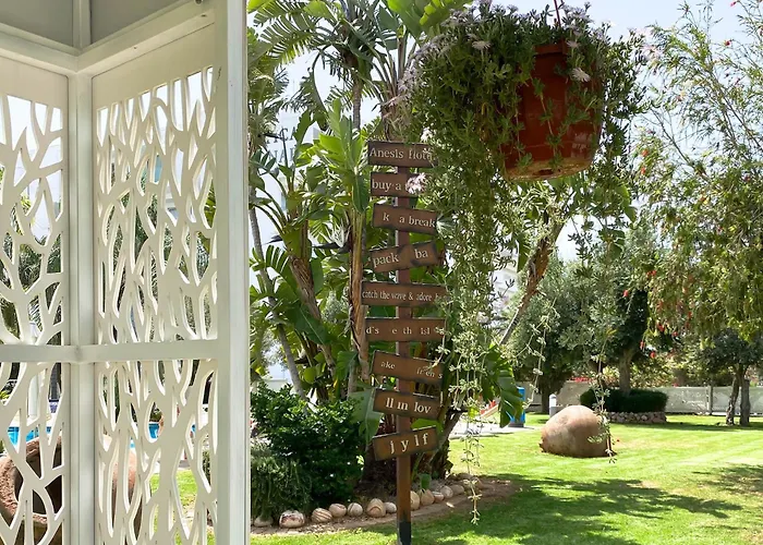 Anesis Hotel Ajia Napa